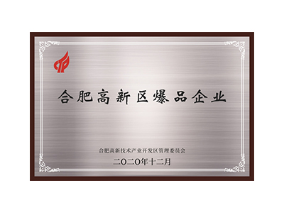  合肥高新区爆品企业