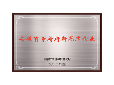  安徽省专精特新冠军企业